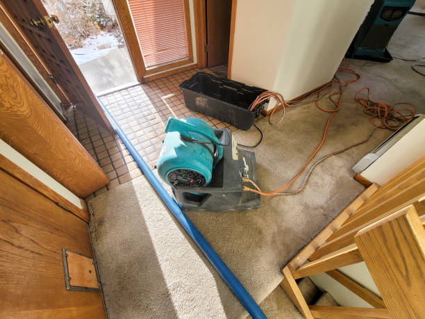 Sewage cleanup and water damage restoration in VA