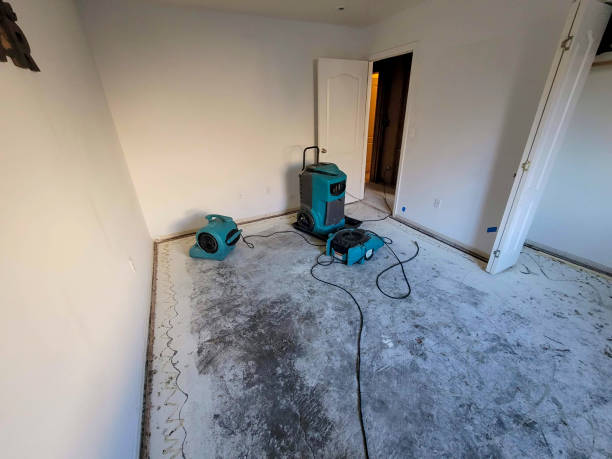 Best Fire Damage Restoration  in Gratton, VA