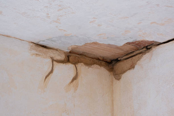 Best Residential water damage restoration  in Gratton, VA