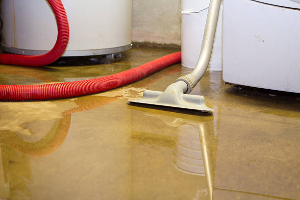 24/7 water damage repair in VA