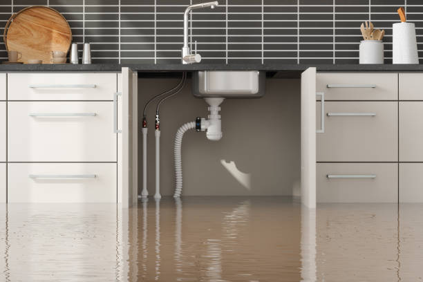 Best Water damage restoration process  in Gratton, VA