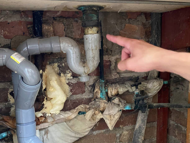Best Water damage contractors near me  in Gratton, VA