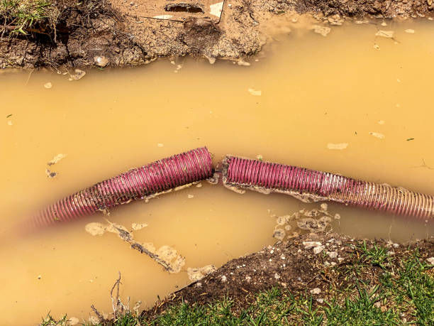 Best Water damage restoration experts  in Gratton, VA